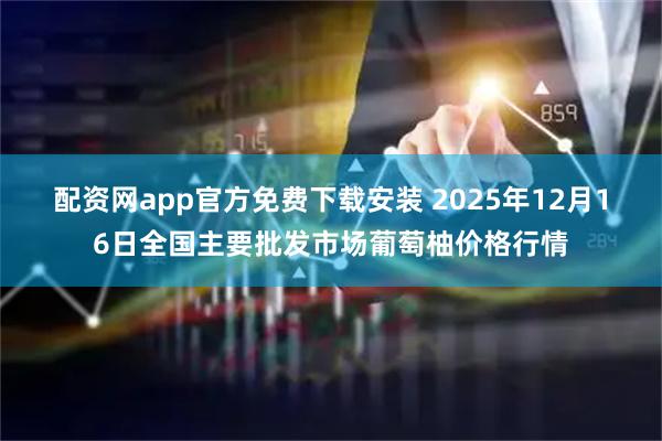 配资网app官方免费下载安装 2025年12月16日全国主要批发市场葡萄柚价格行情