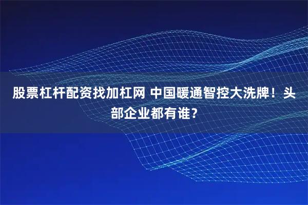 股票杠杆配资找加杠网 中国暖通智控大洗牌！头部企业都有谁？